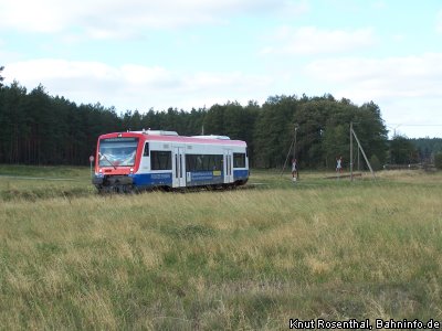 Bild zum Beitrag