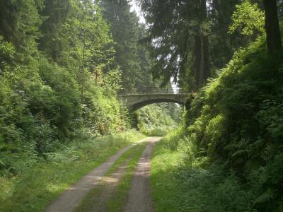 Bild zum Beitrag
