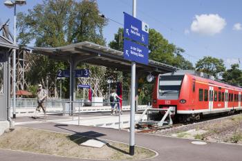 Bild zum Beitrag